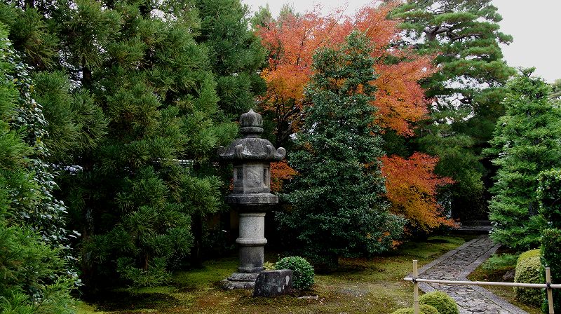 錦秋の都路２０１０ (紫野 臨済宗大徳寺派大本山 大徳寺塔頭寺院群の紅葉) (2010年12月11日)_c0119555_17472437.jpg