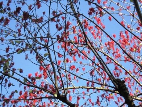 c0127460_14597.jpg