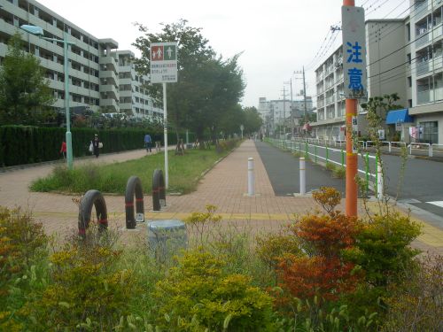 b0206463_1837515.jpg