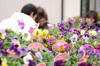 ベルベットイエロー市村美佳子スペシャルレッスン・・・・すみれ家＆延岡シンプリーで・・・_b0137969_172773.jpg