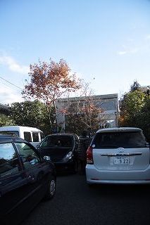 ベルベットイエロー市村美佳子スペシャルレッスン・・・・すみれ家＆延岡シンプリーで・・・_b0137969_17514658.jpg