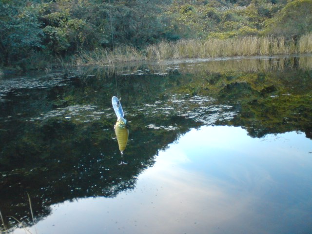 いい感じ_a0040876_2114097.jpg