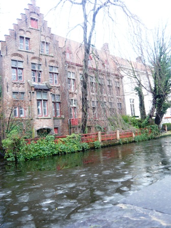e0203878_2051686.jpg