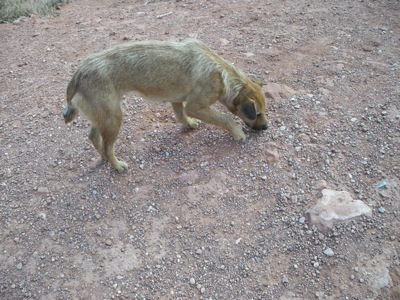 e0183383_1823433.jpg