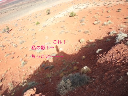 e0183383_18434076.jpg