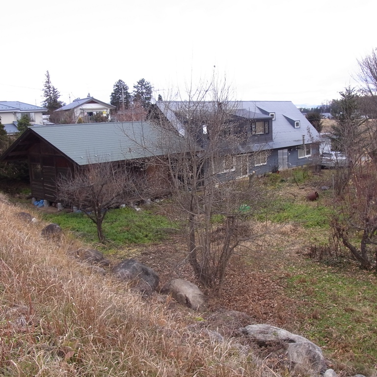 a0034487_112910.jpg