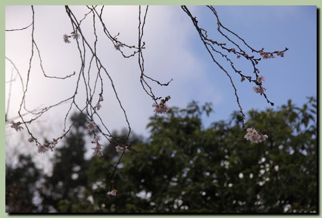 f0079990_9212331.jpg