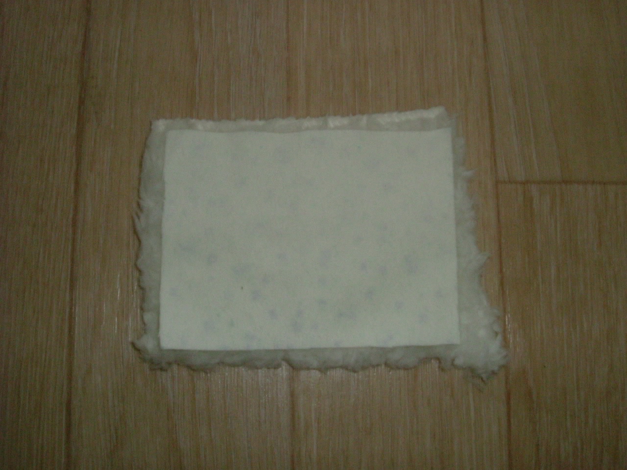 c0197396_854695.jpg