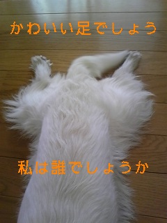 f0017897_19555050.jpg