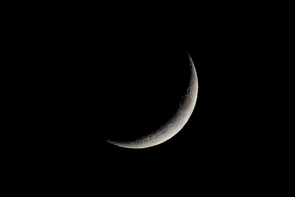 b0024798_52176.jpg