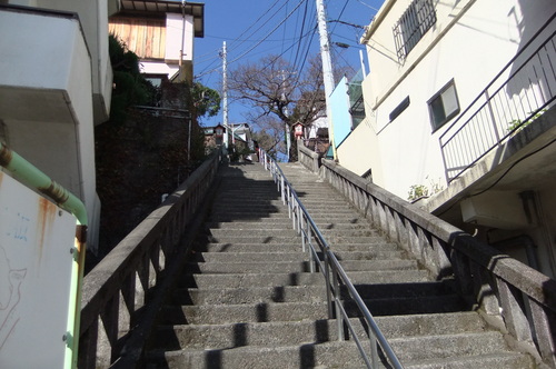 伊豆山神社へお散歩_f0101201_14313246.jpg