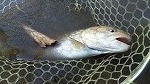 2010年12月11日(土)_f0192504_1739163.jpg