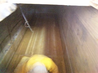 水槽の掃除_d0099708_20253191.jpg