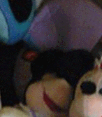 e0103408_13585232.gif