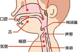 反回神経麻痺_e0097212_23231771.jpg