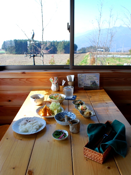 アウルのドックラン&カフェ_c0177814_2243056.jpg
