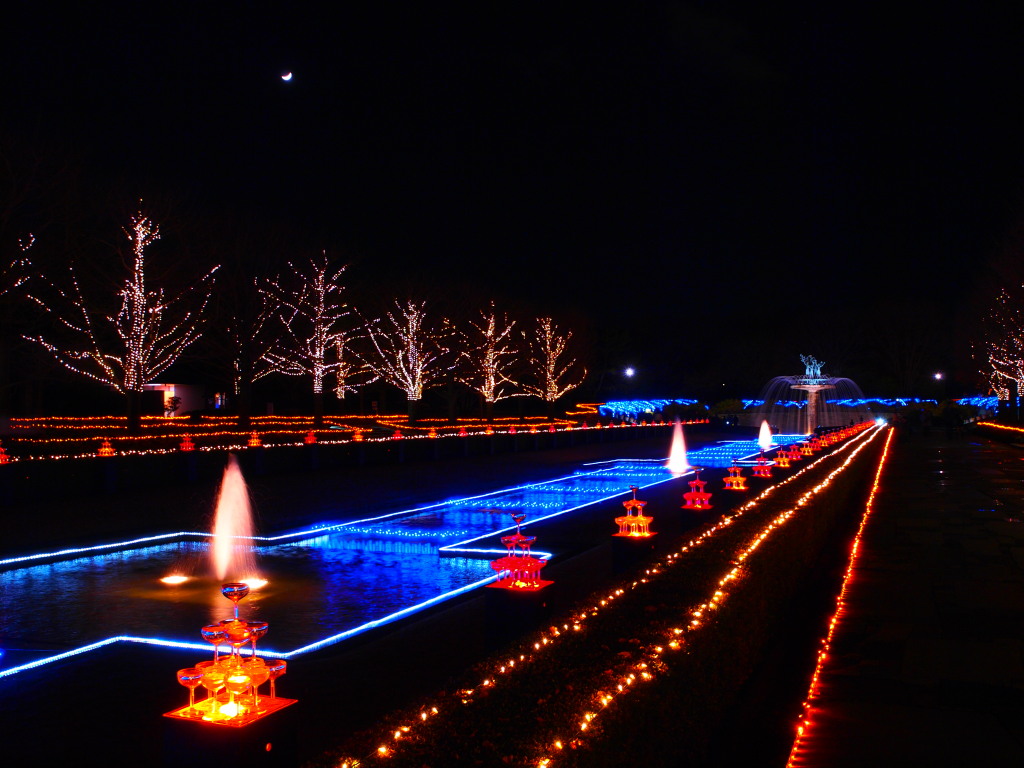 Winter Vista Illumination 2010 (昭和記念公園)_d0192516_14463385.jpg