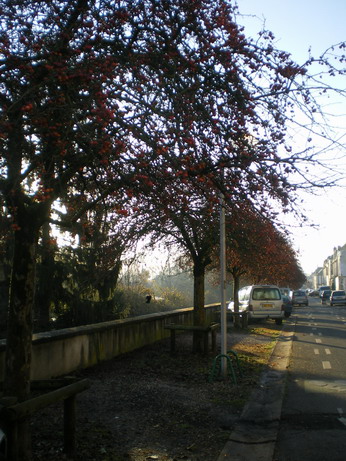 c0124619_5292787.jpg