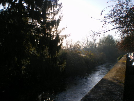 c0124619_5294638.jpg