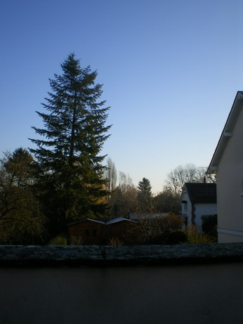 c0124619_5312862.jpg