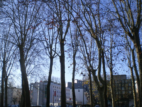 c0124619_5351591.jpg