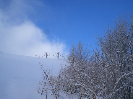 雪ふったぞー_f0195127_159379.jpg