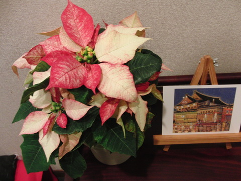 f0111128_13526.jpg