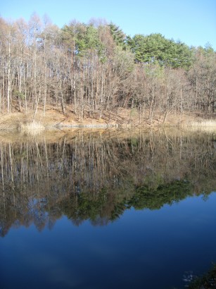 c0090236_22251978.jpg