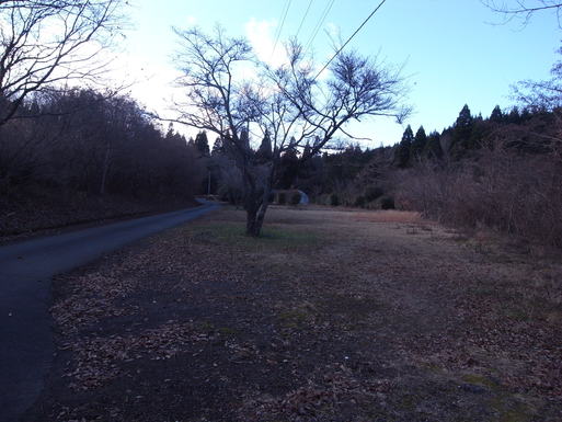 阿蘇郡南小国町 マゼノ共和国甲の瀬ファミリーキャンプ村 ぶらり新大分紀行 Discovery 阿蘇郡南小国町 マゼノ共和国甲の瀬ファミリーキャンプ村 ぶらり新大分紀行 Discovery