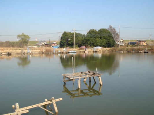 e0119840_2047222.jpg