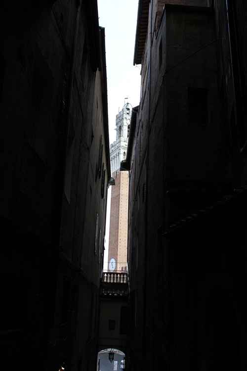 b0068541_13571497.jpg