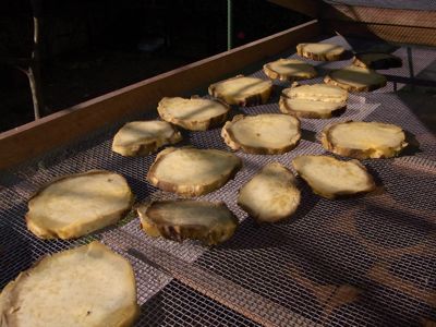 シリーズ男の料理 干し芋_c0063348_12232560.jpg