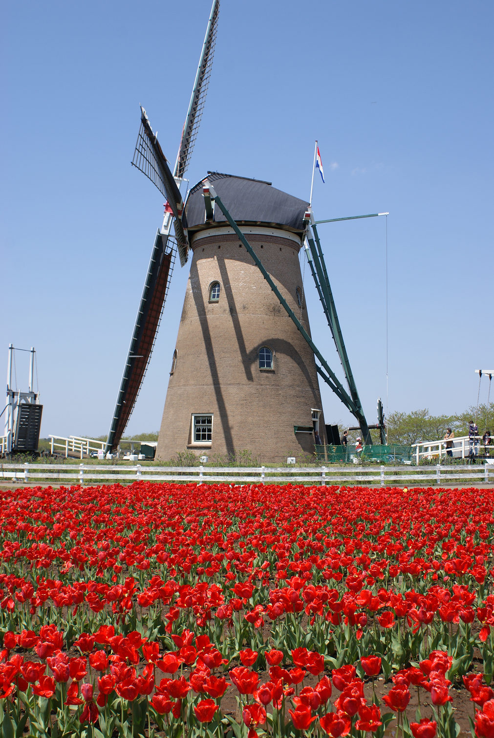 b0170950_2118461.jpg