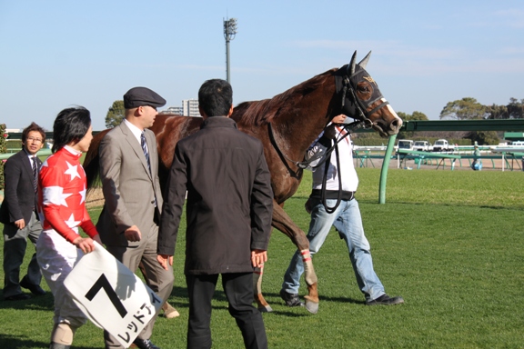 中山競馬場参戦！_e0028650_2264840.jpg