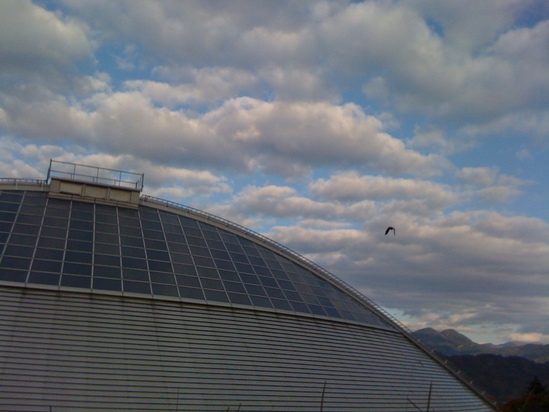 b0005652_8531036.jpg