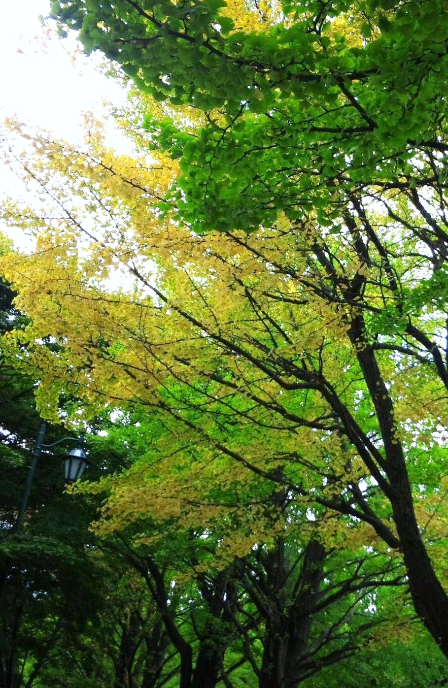 c0115560_22253644.jpg