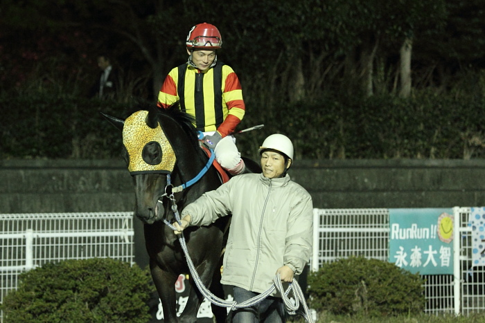 2010年12月11日（土） 高知競馬 10R 徳島県知事賞典 第25回 徳島県うずしお特別 A-1 選抜馬 その1_a0077663_22473279.jpg