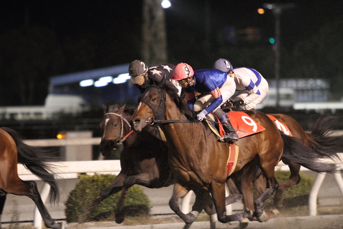 2010年12月11日（土） 高知競馬 10R 徳島県知事賞典 第25回 徳島県うずしお特別 A-1 選抜馬 その1_a0077663_22482423.jpg