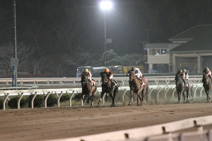 2010年12月11日（土） 高知競馬 10R 徳島県知事賞典 第25回 徳島県うずしお特別 A-1 選抜馬 その1_a0077663_22484286.jpg