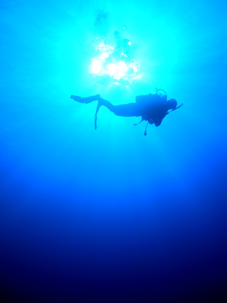 b0062363_1811692.jpg