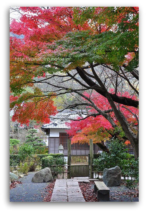 広寿山福聚寺・3_e0153963_18223959.jpg