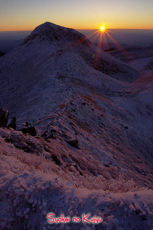 f0173067_1174391.jpg