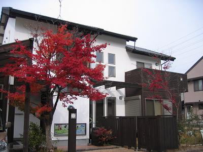 e0031568_1739910.jpg