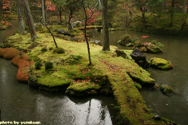 京都・嵐山の紅葉 『西芳寺（苔寺）』 編・その４_d0030373_15412430.jpg