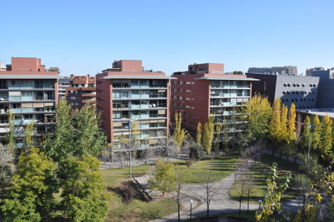 b0131786_22531232.jpg