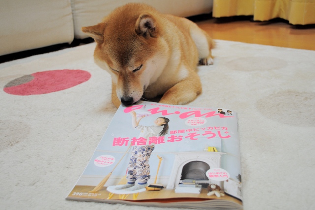 預かり母さん、カッコイイ!!_a0126590_6583451.jpg