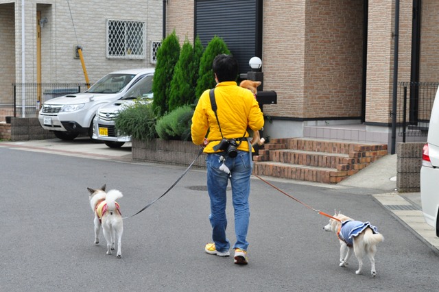 預かり母さん、カッコイイ!!_a0126590_752887.jpg