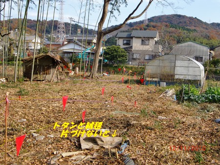 ｢持たない贅沢で」・・・すっきり老後生活_b0205192_16243725.jpg