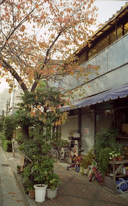 c0214494_1365647.jpg