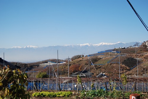 勝沼ワイナリーめぐり2010_c0124100_0122057.jpg